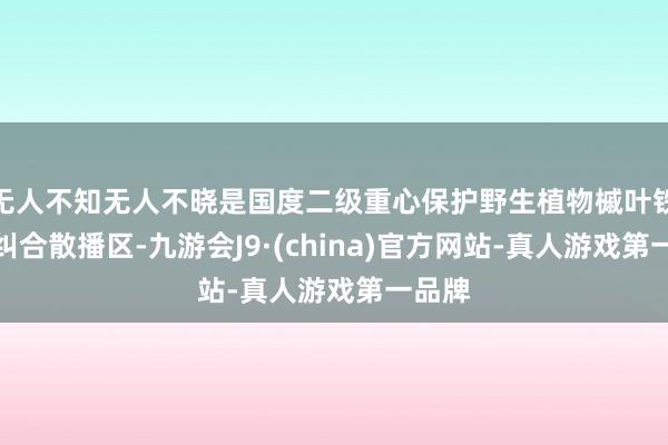 无人不知无人不晓是国度二级重心保护野生植物槭叶铁线莲纠合散播区-九游会J9·(china)官方网站-真人游戏第一品牌