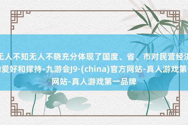 无人不知无人不晓充分体现了国度、省、市对民营经济发展的爱好和撑持-九游会J9·(china)官方网站-真人游戏第一品牌