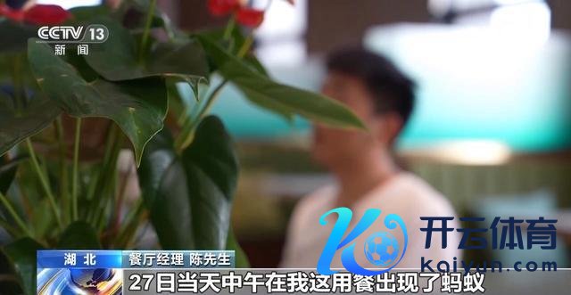 男人吃饭自带蚂蚁碰瓷餐厅700次 警方揭露跨区乱来链