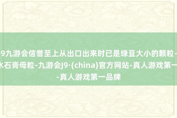 j9九游会信誉至上从出口出来时已是绿豆大小的颗粒——无水石膏母粒-九游会J9·(china)官方网站-真人游戏第一品牌