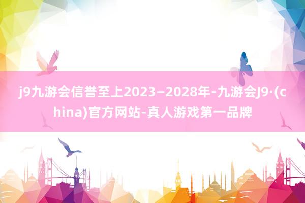 j9九游会信誉至上2023—2028年-九游会J9·(china)官方网站-真人游戏第一品牌